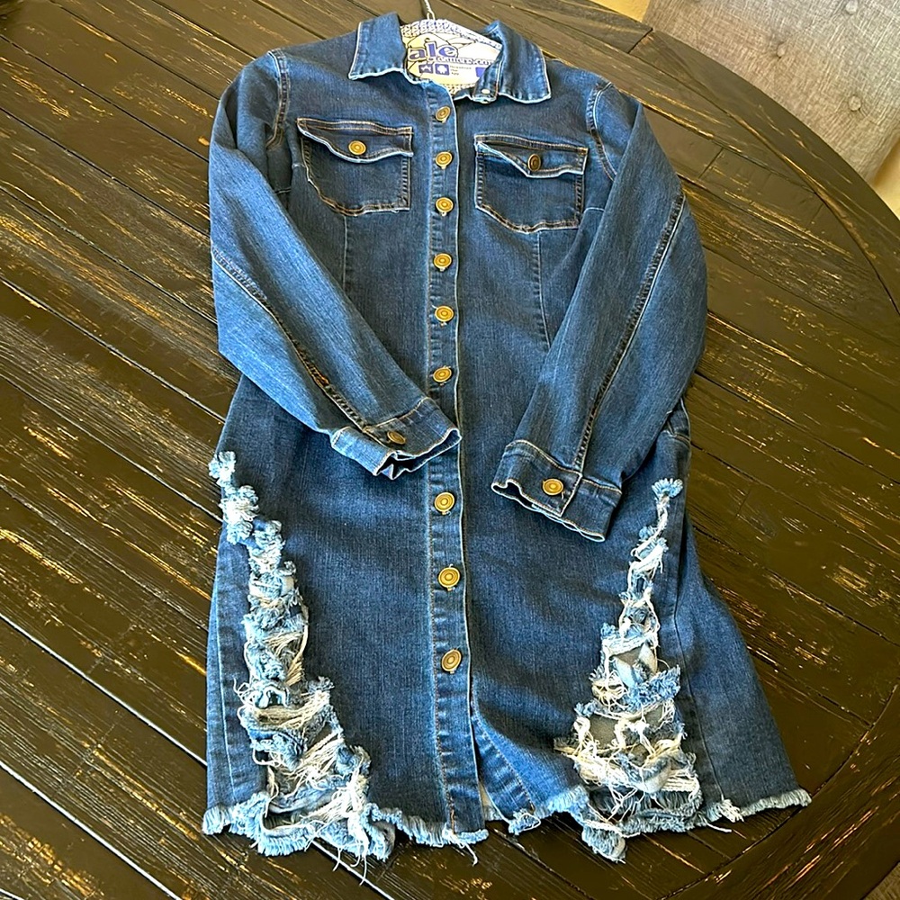 Fashion Nova denim long sleeve dress